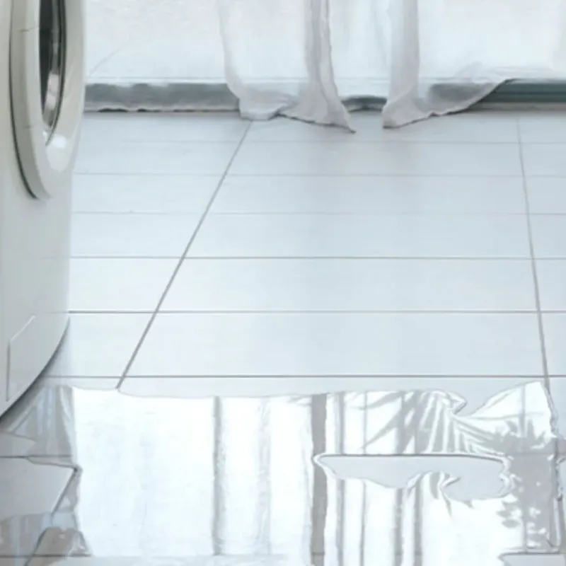 Appliance Leak Cleanup in Greenfield, TN