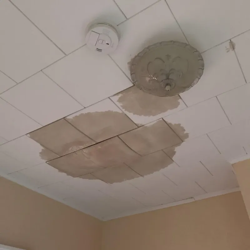 Ceiling Water Damage Repair in Greenfield, TN