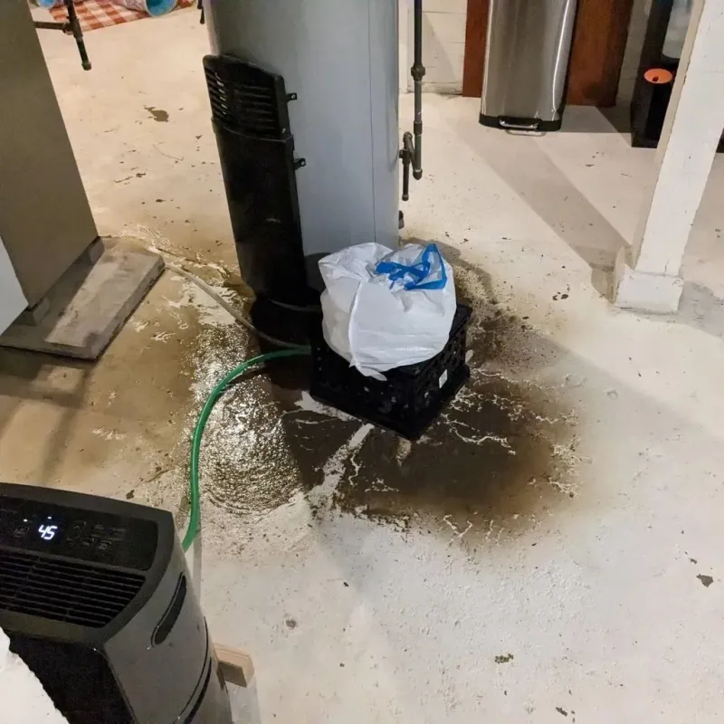 Sewage Backup Cleanup Service in Greenfield, TN